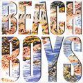 The Beach Boys. The Beach Boys (LP)