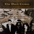 The Black Crowes. The Southern Harmony And Musical Companion (2 LP)