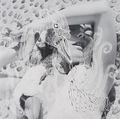 Bjork. Vespertine (2 LP)