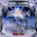 Iced Earth. Horror Show. Deluxe Edition (2 LP)