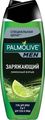 Palmolive       500 