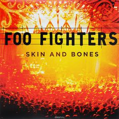 Foo Fighters. Skin & Bones (2 LP)