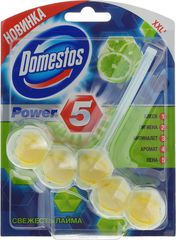     Domestos "Power 5.  ", 55 