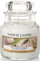   Yankee Candle "    / Sea Salt & Sage", 25-45 