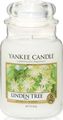   Yankee Candle " / Linden Tree", 110-150 