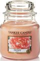   Yankee Candle " / Peony", 65-90 