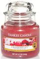   Yankee Candle "   / Cranberry Ice", 25-45 