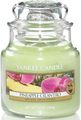   Yankee Candle "   / Pineapple cilantro", 25-45 