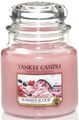   Yankee Candle "  / Summer scoop", 65-90 