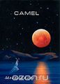Camel: Moondances