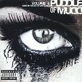 Puddle Of Mudd. Volume 4: Songs In The Key Of Love & Hate