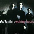 Del Amitri. Waking Hours. Deluxe Edition (2 CD)