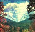 Tame Impala. InnerSpeaker