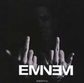 Eminem. Shady Times
