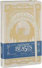 Fantastic Beasts and Where to Find them: MACUSA