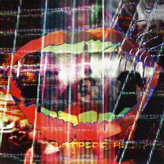 Animal Collective. Centipede Hz (2 LP)