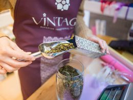 II ��������� ������-����������� ������������