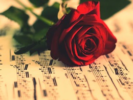 ����������� ��������: �. ���������