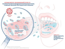 ������������ �������: �������������� ��� ������� ��� � ��� ���������� ������ ������ ������������