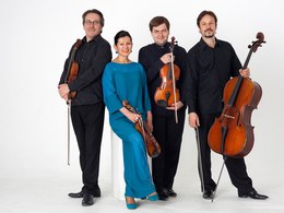 �� ���������� �� �����������