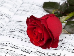 ������ �����