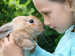 ������ ���