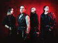 Neverlove