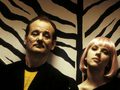 Киноклуб «Кино, вино и домино»: Трудности перевода (2003)