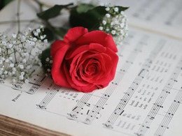 �������� �����. ����������