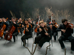 ������� CAGMO. �������� ���������� 33