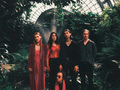   -: , Imaginary Friends Orchestra, Anton Ryazanov project