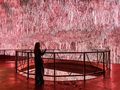 404 Museum