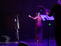 Sade No Ordinary Tribute Show   