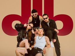  dib