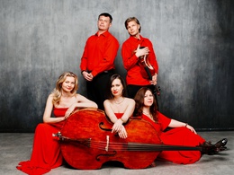 Storm Cellos. -      