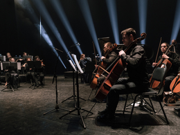 ������� CAGMO. �������� Genshin Impact