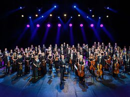 ��� ����� ���� ������