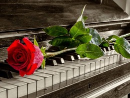 �����. ������