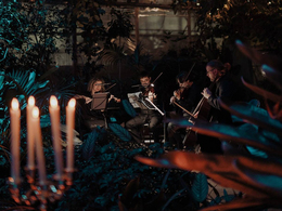 ����������� ����������: �������, ���������, ����