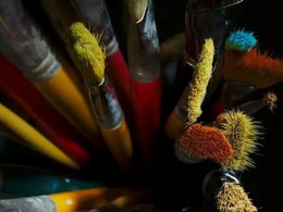 ������� �� 1 �������