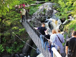 �����, ��������, ��������. ������� �� 1 ����