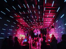 Ecstatic ����