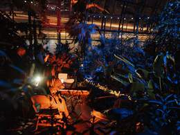 ����� ������. ZAZ Tribute