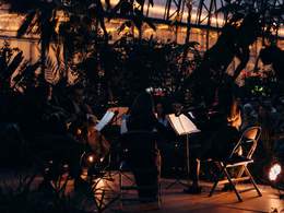 ����� ������. ������������ ����������