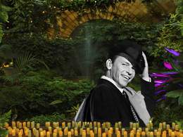 ����� ������. Frank sinatra. ���� � ���������