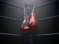 Open Fighting Championship