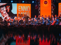 Ennio Morricone. Professional