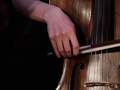 Dreamers Cello. ������� ���-���� �� �����������