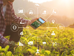 �������������������� ������ ��������� ����������� ��������-�������� �� �������� ��������� ����