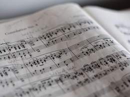 ������ DSCH